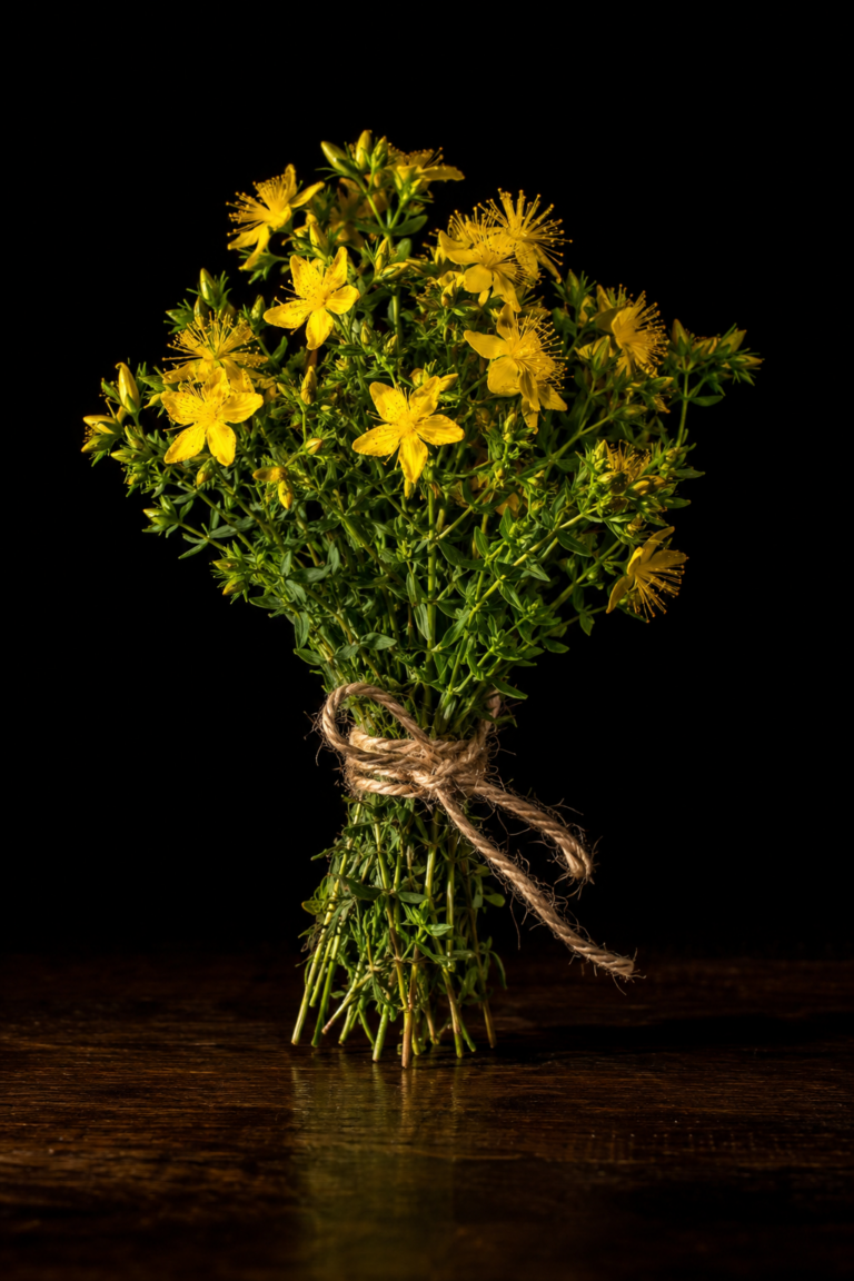 Johanniskraut